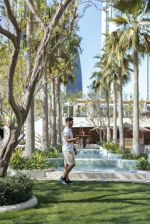Palm-lined garden and pool terrace at the hotel